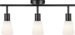 Lampa sufitowa Nordlux Cole 3-Spot 2112910003   czarny