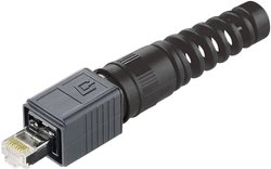 Złącze męskie RJ45 Telegärtner J80026A0014 J80026A0014, RJ45, CAT 6a, 1 szt.