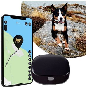 Tracker GSM PAJ GPS PET Finder 4G 2.0, Black