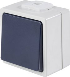 Przycisk / styk przełączny z 2 wejściami kablowymi IP54 AS Schwabe 62452 Przycisk IP54 szary