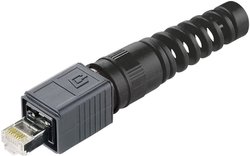 Złącze męskie RJ45 Telegärtner J80026A0016 J80026A0016, RJ45, CAT 6, 1 szt.