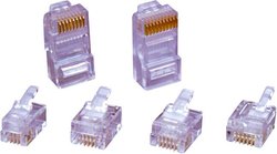 Złącze męskie RJ45 encitech RJ458P8CR 6510-0104-01, RJ45, piny:8P8C, 1 szt.